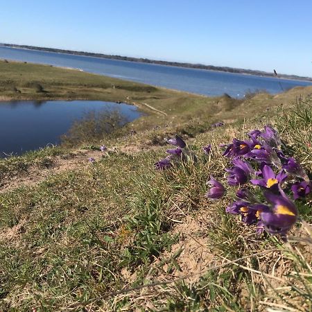 Porshus Ferielejlighed Sundstrup エクステリア 写真