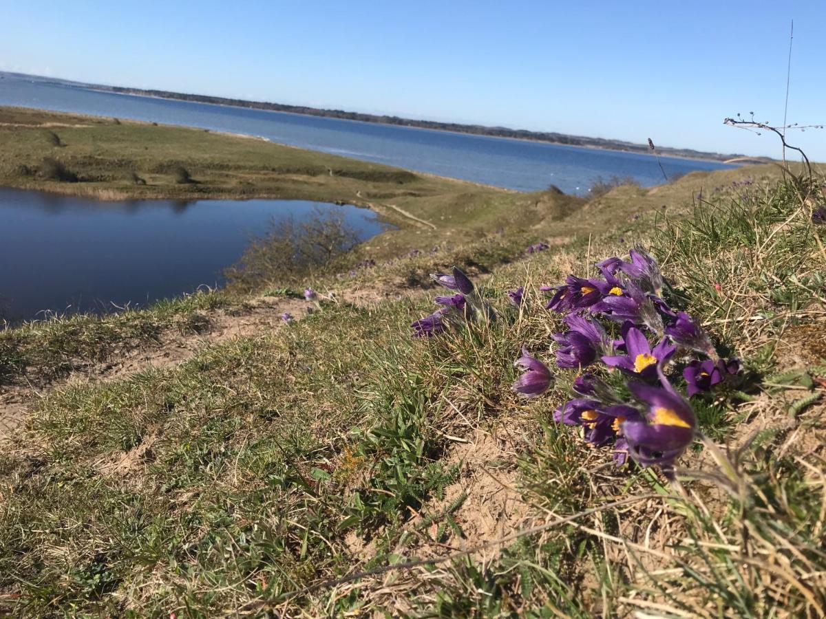 Porshus Ferielejlighed Sundstrup エクステリア 写真